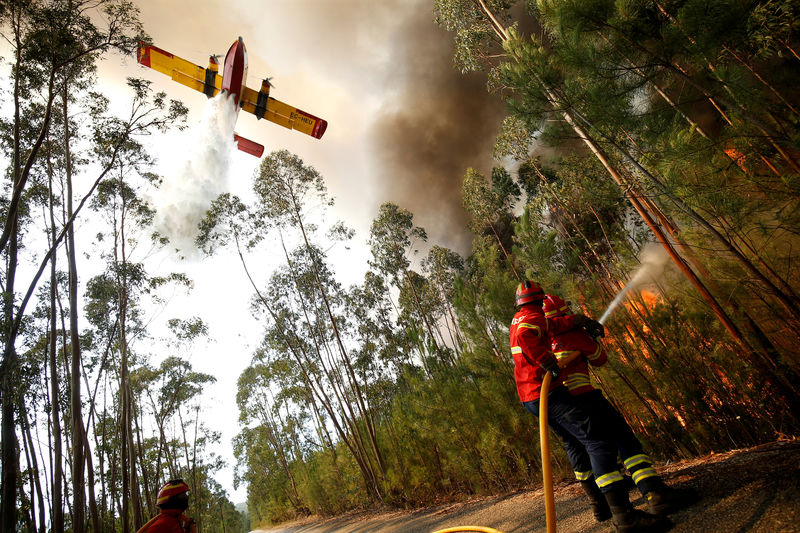 © Reuters. Firefighters work to put out a forest fire next to the village of Macao