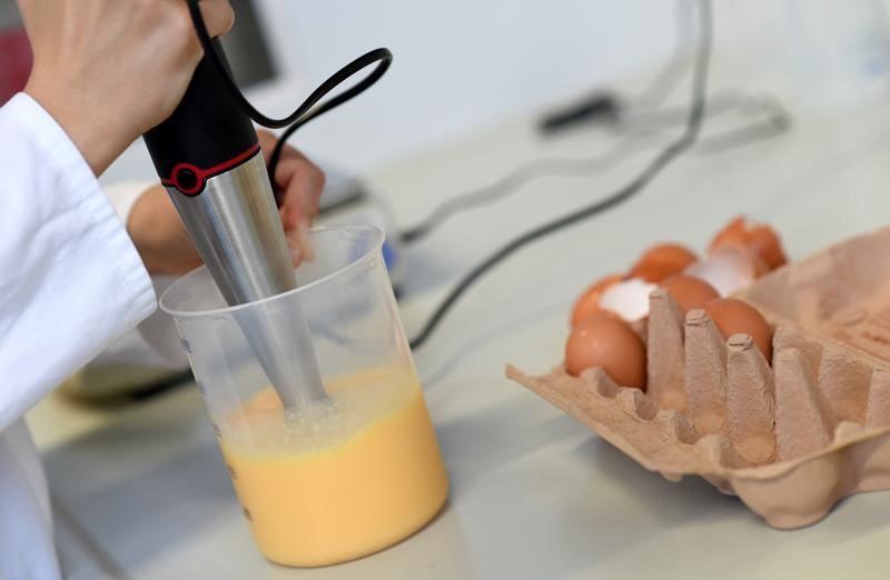 © Reuters. FILE PHOTO: A laboratory technician checks eggs in a laboratory in Erlangen