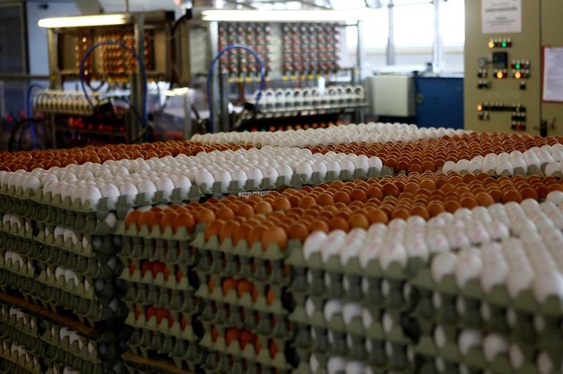 © Reuters. العثور على بعض منتجات البيض الملوثة بمبيد حشري في النمسا