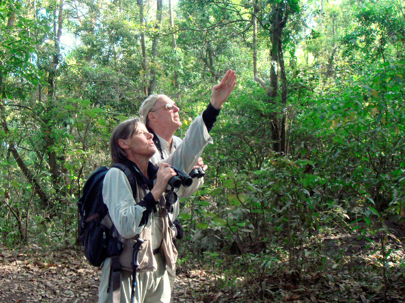 © Reuters. FILE PHOTO: U.S. Treasury Secretary Paulson and his wife, Wendy, look for birds on a hike up the side of the Pacaya Volcano