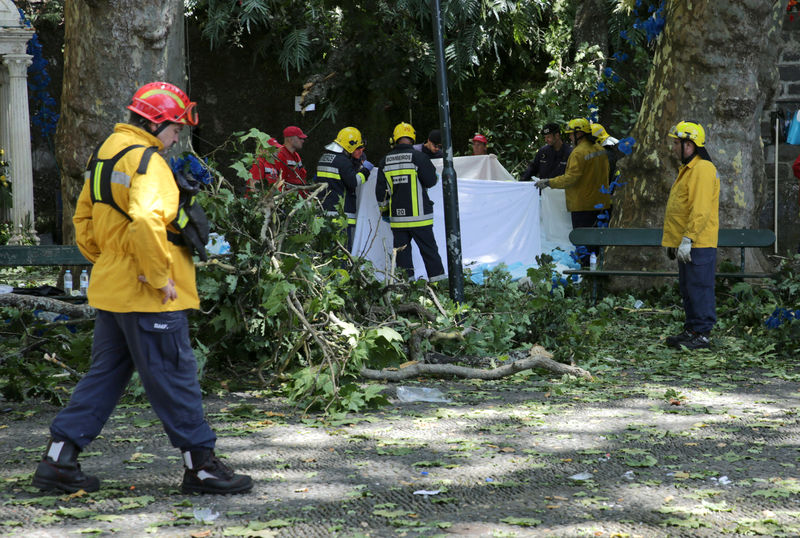 © Reuters. مقتل 12 شخصا سقطت عليهم شجرة خلال احتفال ديني بالبرتغال