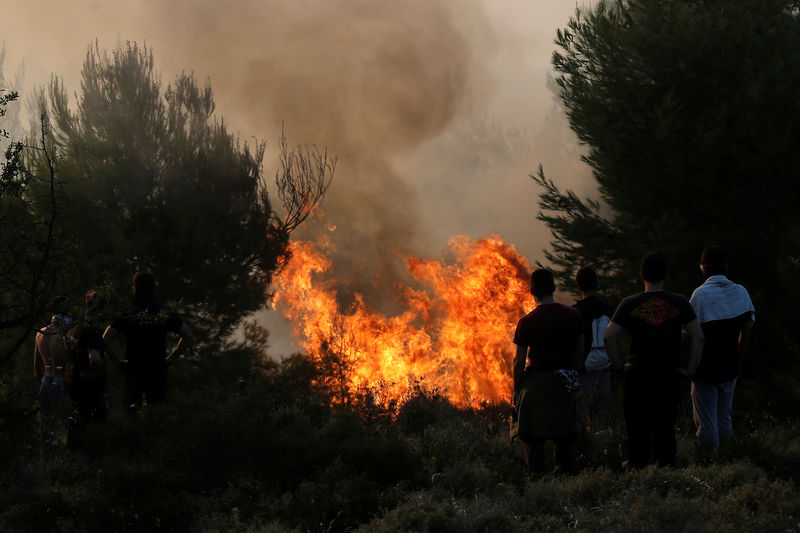 © Reuters. اليونان تطلب مساعدة الاتحاد الأوروبي مع استمرار حرائق الغابات