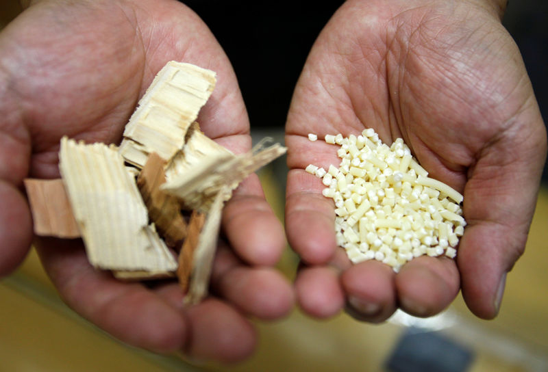 © Reuters. أمتن من الصلب.. اليابان تتطلع لاستخدام لب الخشب في صناعة السيارات
