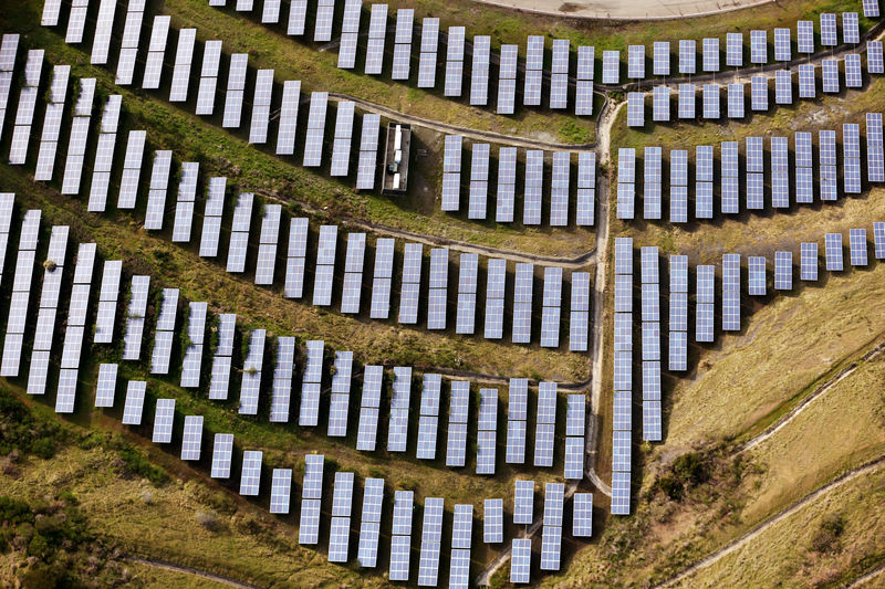© Reuters. FILE PHOTO - An array of solar panels in Oakland California