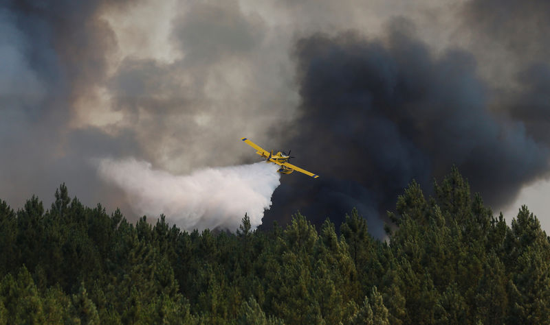 © Reuters. تحطم هليكوبتر ومقتل قائدها في البرتغال أثناء مكافحة حرائق الغابات