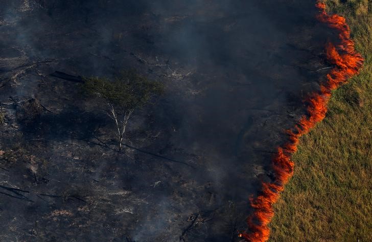 © Reuters. Chamas queimam floresta em Apuí, no Amazonas