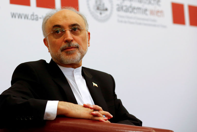 © Reuters. FILE PHOTO: Head of the Iranian Atomic Energy Organization Ali Akbar Salehi attends a lecture in Vienna