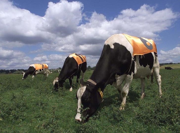 © Reuters. Europa se enfrenta a una crisis de mantequilla, advierte un productor lácteo