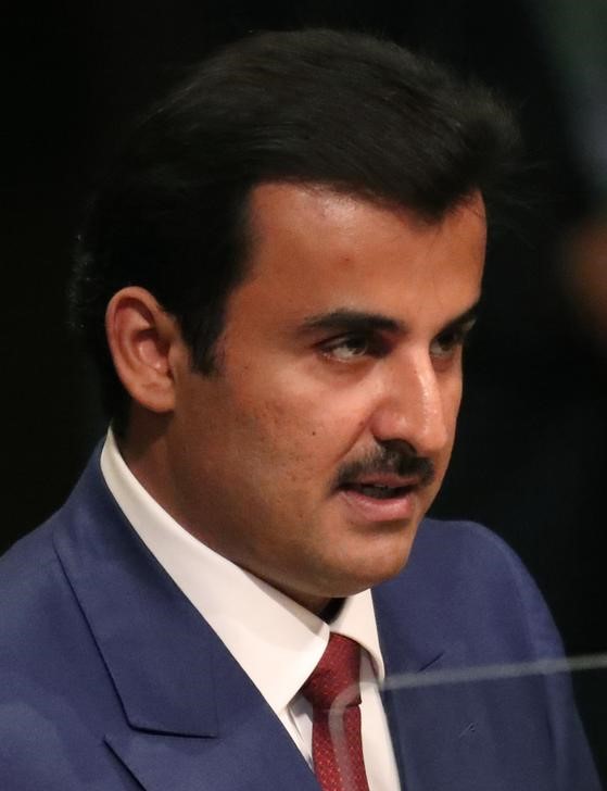 © Reuters. قطر: تركيا تعتقل خمسة يشتبه في اختراقهم موقع وكالة الأنباء القطرية