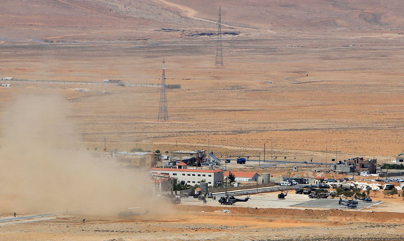 © Reuters. Líbano y Siria anuncian alto el fuego en batalla contra Estado Islámico