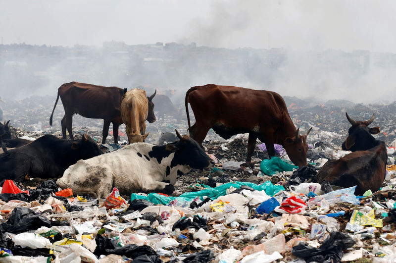 © Reuters. كينيا تفرض أشد القوانين في العالم ضد الأكياس البلاستيكية
