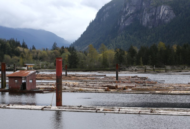 © Reuters. Barges of logs in Howe Sound near Squamish.