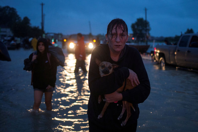 © Reuters. Mulher segura cachorro após deixar casa devido a enchentes em Houston