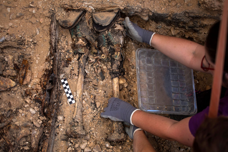 © Reuters. Arqueólogos excavan en Valladolid más fosas comunes de la Guerra Civil