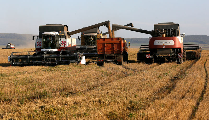 ИКАР повысило прогнозы урожая и экспорта зерна РФ в 17г