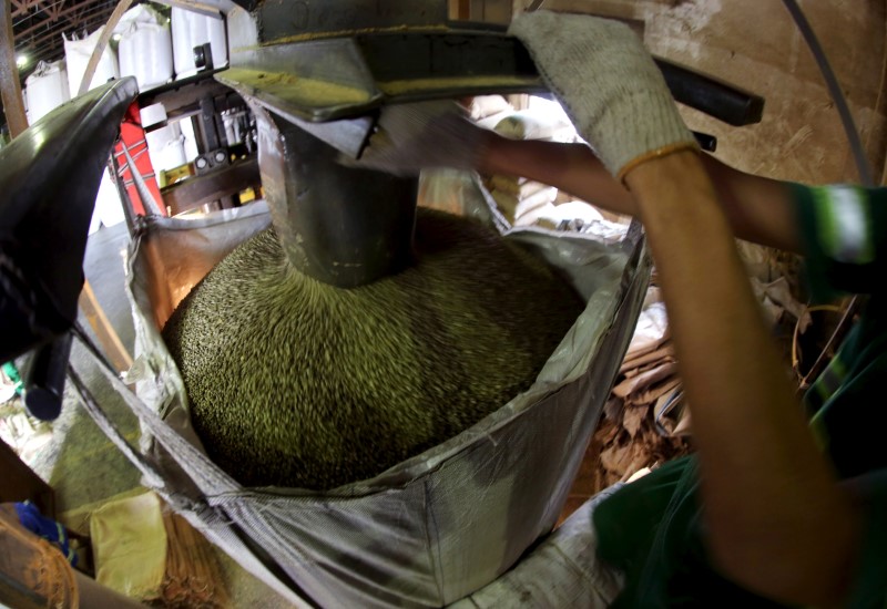 © Reuters. FILE PHOTO: A worker fills a 1-tonne super sack with coffee beans for export at a coffee warehouse in Santos