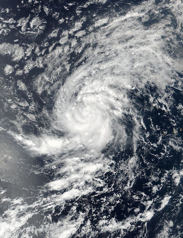 © Reuters. Imagen de satélite de la tormenta tropical Irma en el Atlántico oriental. Archivo.