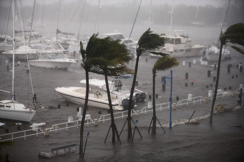 © Reuters. Boats are seen at a marina in Coconut Grove as Hurricane Irma arrives at south Florida, in Miami