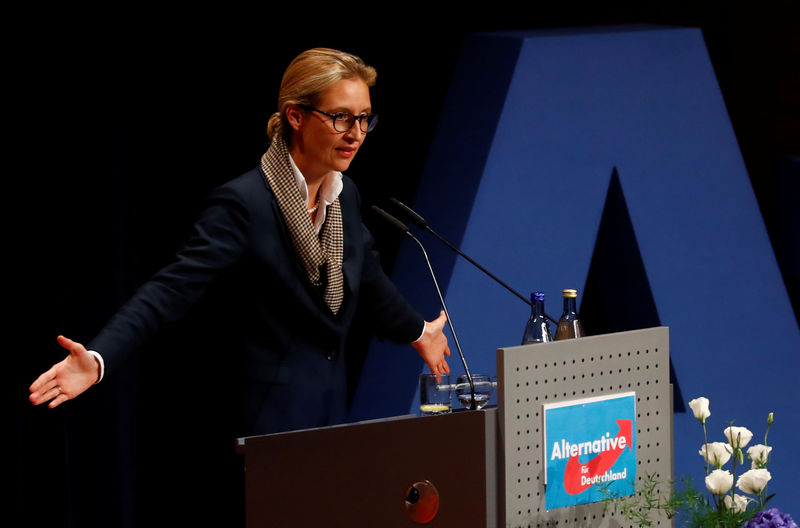 © Reuters. The leaders of Germany's far-right Alternative for Deutschland (AFD) campaign in Pforzheim