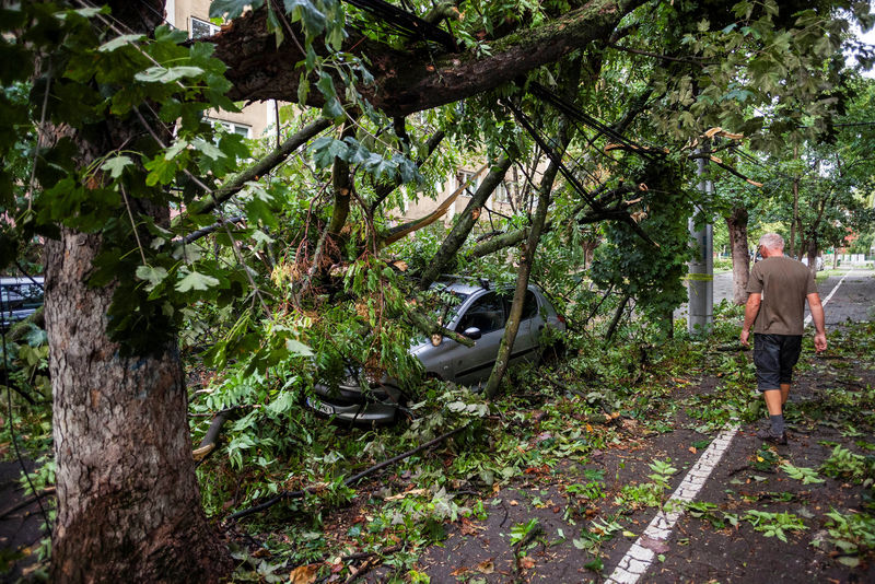 © Reuters. A man walks near a car that was hit by a falling tree following a storm that tore through western Romania, in Timisoara