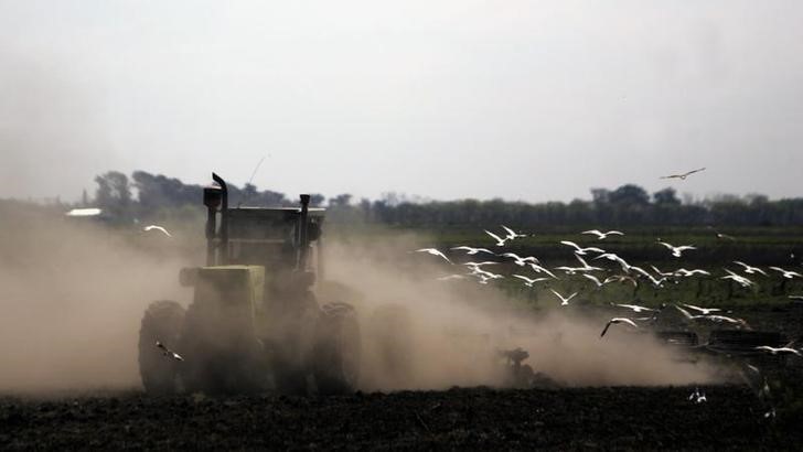 © Reuters. La Unión Europea confirma la reducción de aranceles para el biodiésel argentino