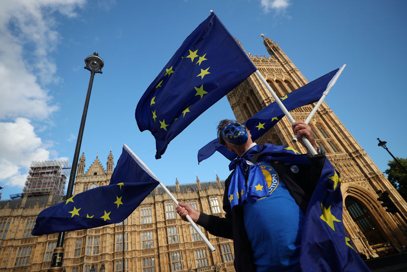 © Reuters. A demonstrator waves European Union flags outside the Houses of Parliament in London