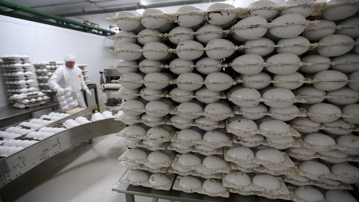 © Reuters. Funcionário trabalha em fábrica de ovos de páscoa em preparação ao feriado de Páscoa em São Paulo, Brasil