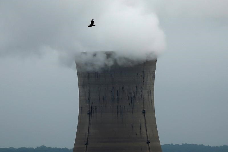 © Reuters. Negro panorama para los reactores nucleares en EEUU