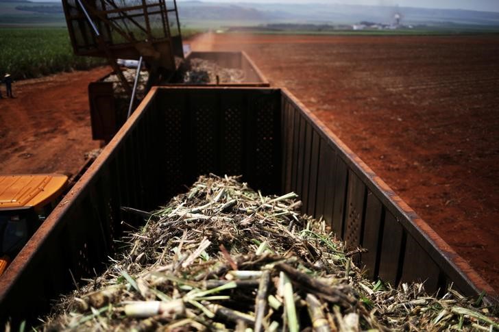 © Reuters. Cana-de-açúcar é carregada a caminhão em Ribeirão Preto, no Estado de São Paulo, Brasil