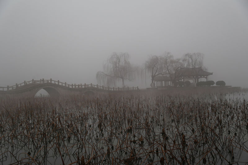 © Reuters. FILE PHOTO - Heavy smog is seen during a polluted day at the Daming Lake in Jinan