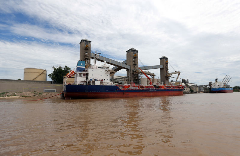 © Reuters. Grãos são carregados a navios para exportação em porto perto de Rosário, na Argentina