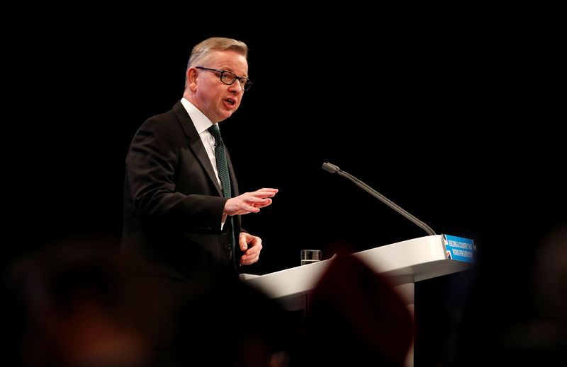 © Reuters. Britain's Secretary of State for Environment, Food and Rural Affairs Michael Gove speaks at the Conservative Party's conference in Manchester