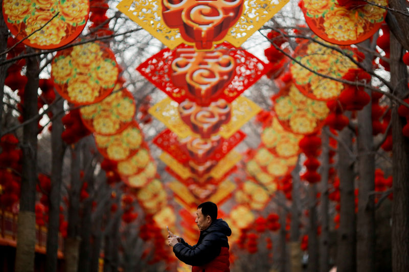 © Reuters. FILE PHOTO: A man takes pictures of trees decorated for Spring Festival ahead of the Chinese Lunar New Year at Ditan Park in Beijing