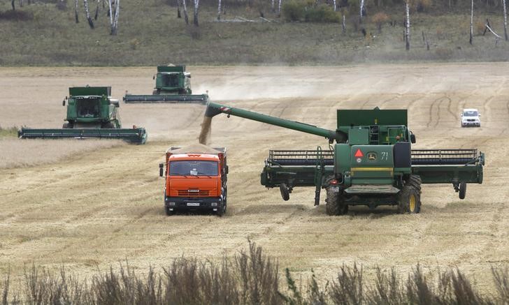 © Reuters. Комбайны собирают урожай на поле аграрного предприятия Искра близ села Кулун