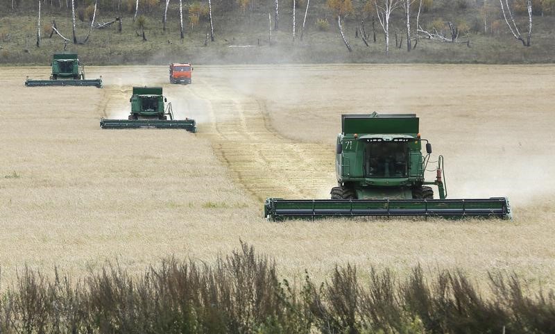 © Reuters. Комбайны убирают пшеницу на поле аграрного предприятия Искра близ села Кулун в Красноярском крае