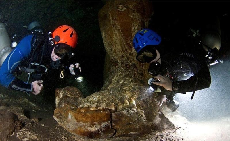 © Reuters. Descubren huesos de hace casi 2,6 millones de años en una cueva sumergida en México