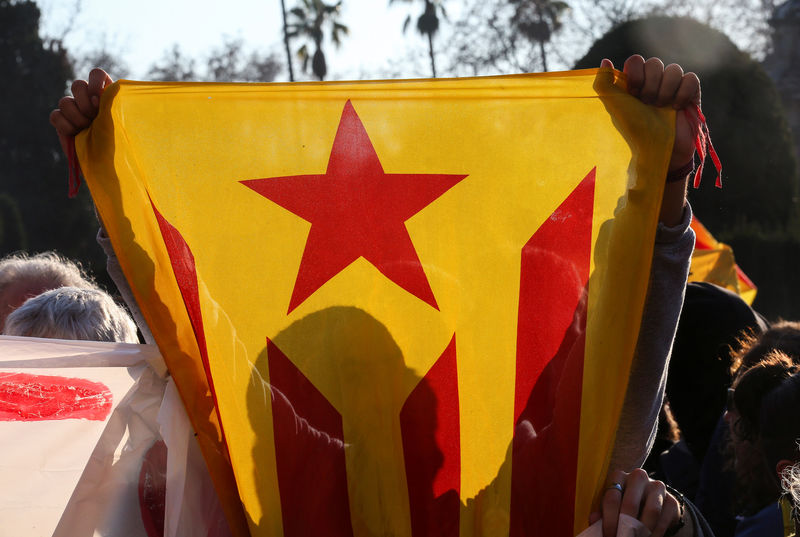 © Reuters. A Pro-independence demonstrator holds up an Estelada pro-indpendence flag during a protest outside the regional parliament in Barcelona