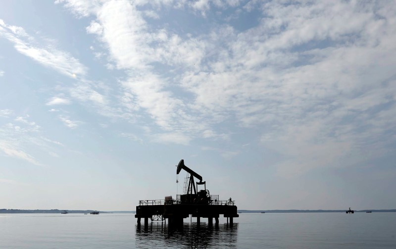 © Reuters. Нефтяной станок-качалка канадской Vermilion Energy во французском городе Паранти-ан-Борн
