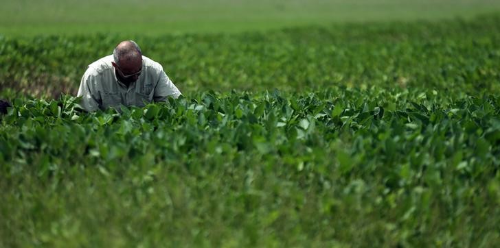 © Reuters. Engenheiro agrícola observa lavouras de soja em plantação perto de Pergamino, na Argentina