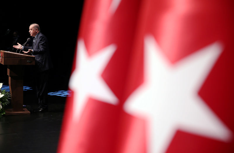 © Reuters. Turkish President Tayyip Erdogan addresses the audience during a meeting at the Presidential Palace in Ankara