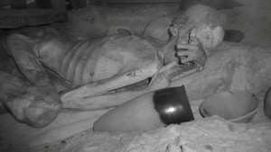 © Reuters. Imagen infrarroja de la momia conocida como 'Hombre de Gebelein' se observa en esta fotografía emitida por The British Museum de Londres