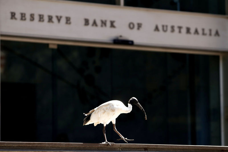© Reuters. FILE PHOTO: An ibis bird perches next to the Reserve Bank of Australia headquarters in central Sydney