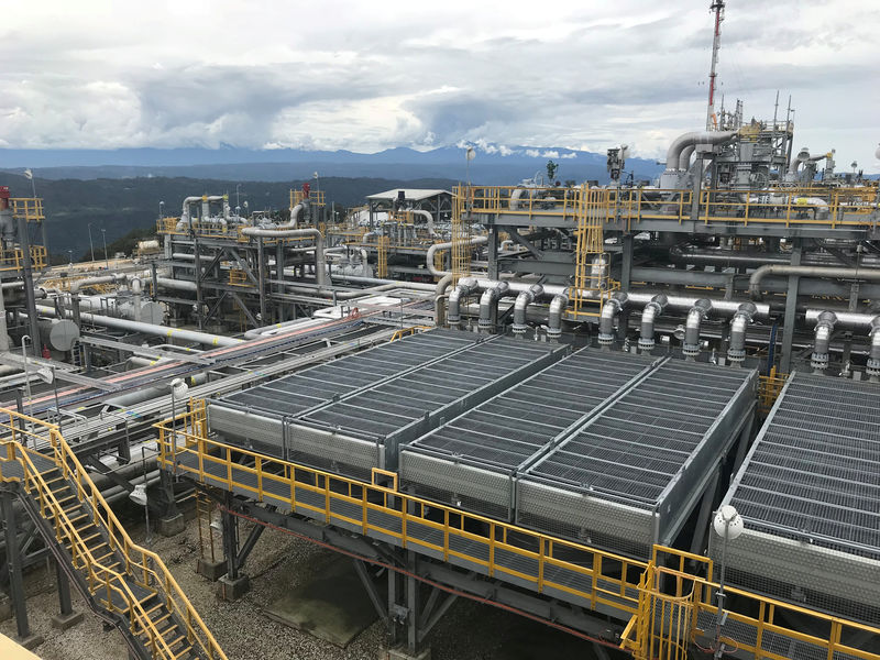 © Reuters. FILE PHOTO: The ExxonMobil Hides Gas Conditioning Plant process area is seen in Papua New Guinea