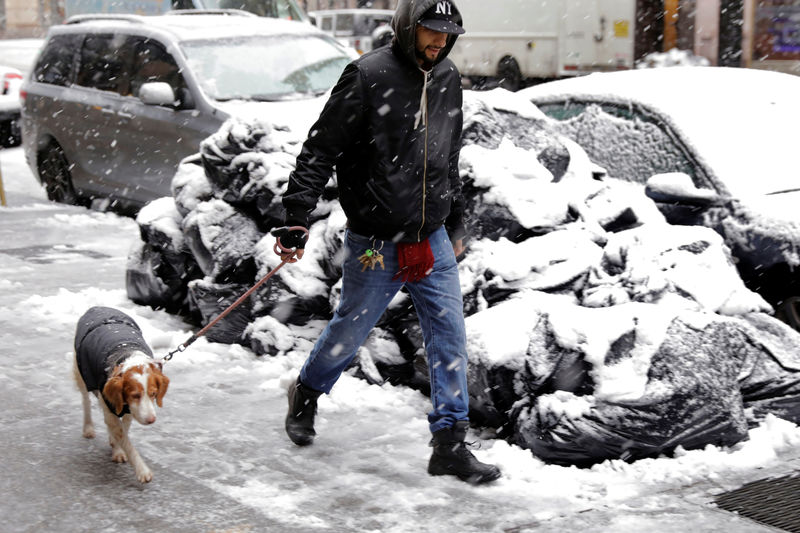 © Reuters. Homem passeia com cachorro durante nevasca em Nova York