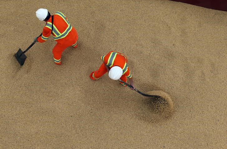 © Reuters. Trabalhadores em embarcação de carga com soja em terminal do porto de Santos, Brasil