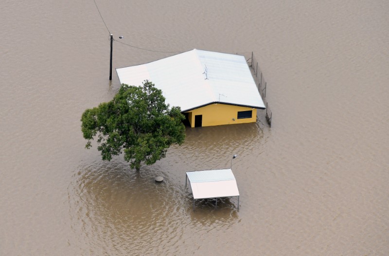 © Reuters. التماسيح تغزو بلدة استرالية بعد انحسار مياه الفيضانات