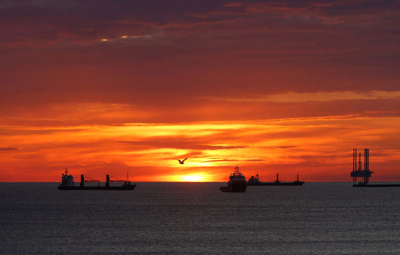 © Reuters. FILE PHOTO: A seagull flies by as cargo ships and an offshore supply vessel lie at anchor at sunrise off Sousse