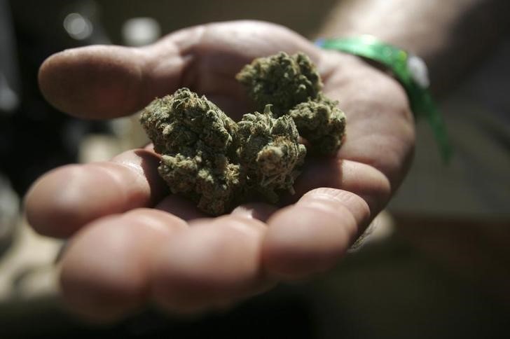 © Reuters. FILE PHOTO - An attendee holds marijuana buds at the International Cannabis & Hemp Expo in Oakland