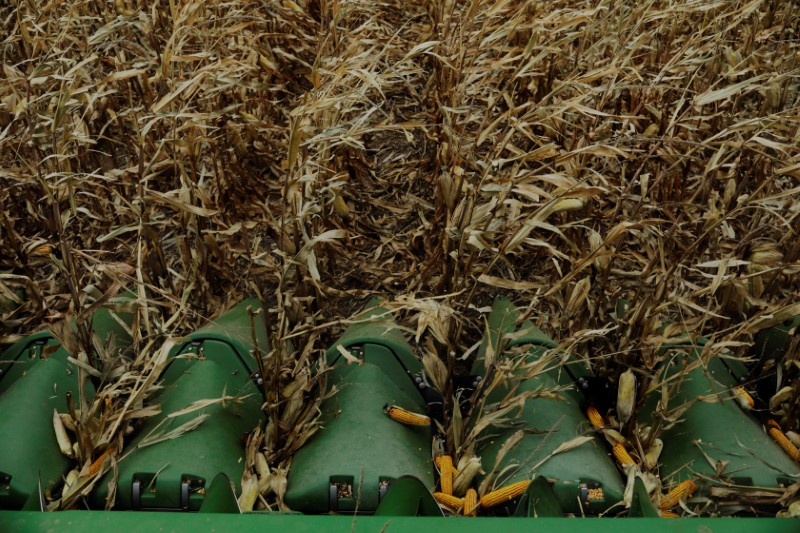 © Reuters. BRUXELLES RÉFLÉCHIT À DES DROITS DE DOUANE SUR DES PRODUITS AMÉRICAINS