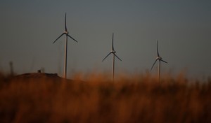 © Reuters. La energía renovable en Portugal supera el 100% de la demanda energética